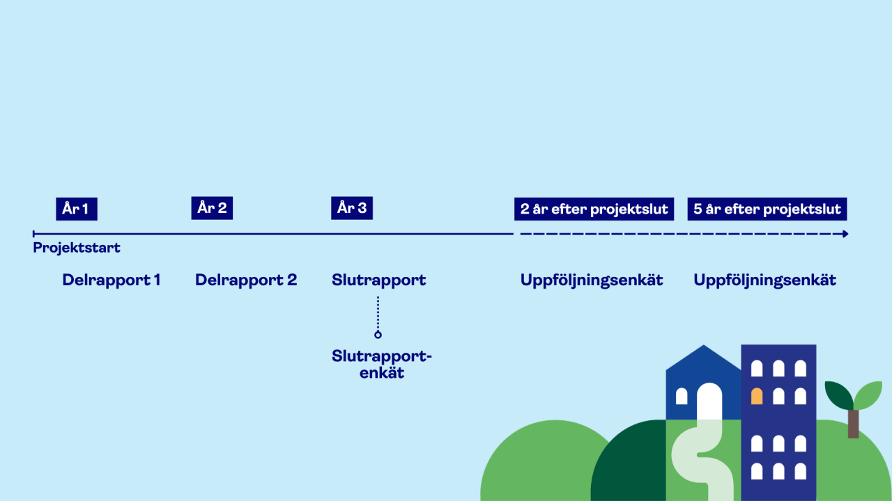 Tidslinje för rapportering vid forskning