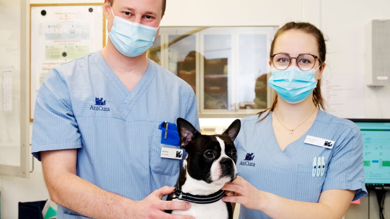 veterinärerna-emil-nordh-och-johanna-holm-har-tagit-tag-i-stressen-på-djursjukhuset-i-falun