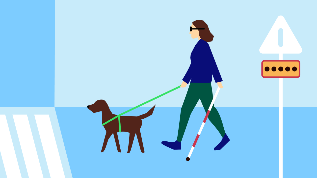Synskadad kvinna promenerar med blindkäpp och ledarhund
