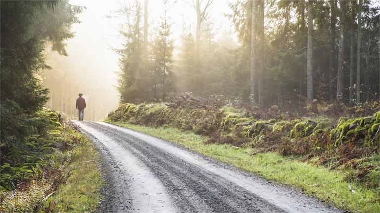 en person går på en landsväg med skog runt omkring i skymningen