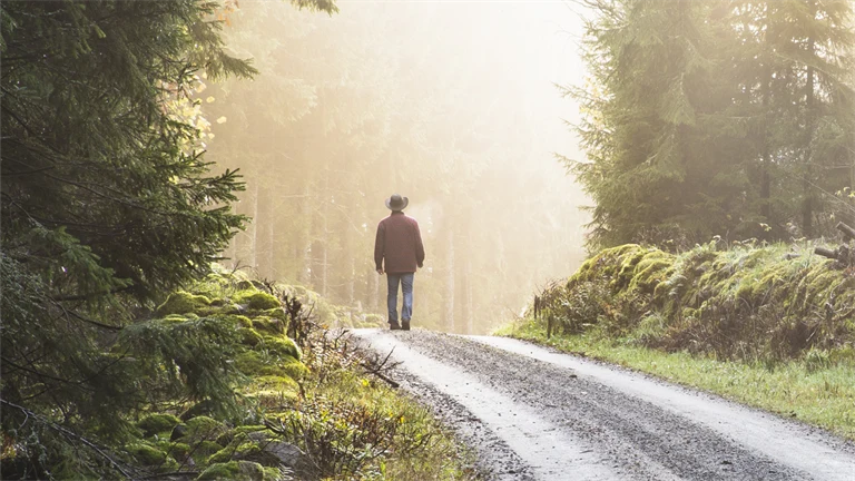 en person går på en landsväg med skog runt omkring i skymningen